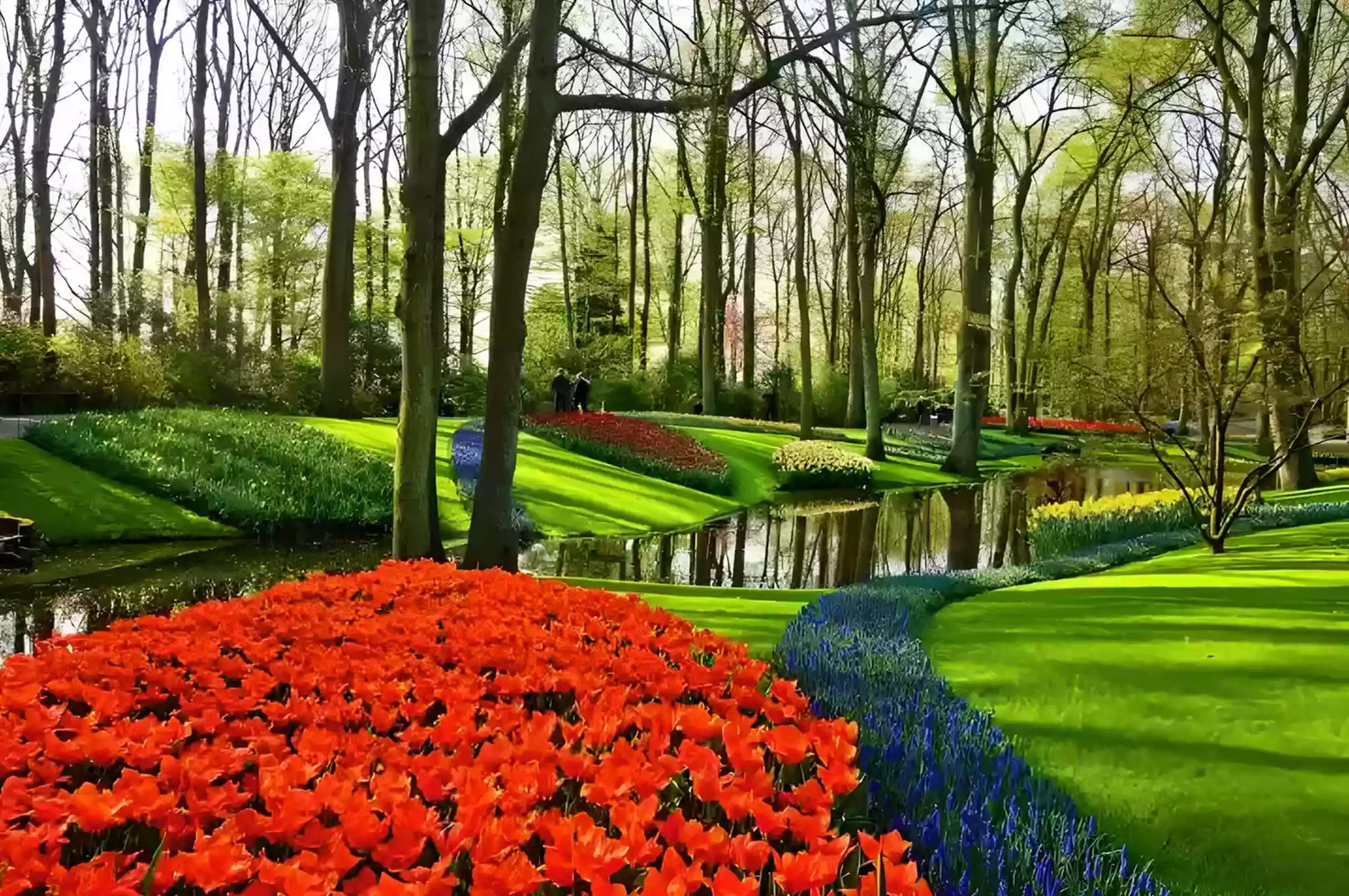 Landscaping and Lawn Care