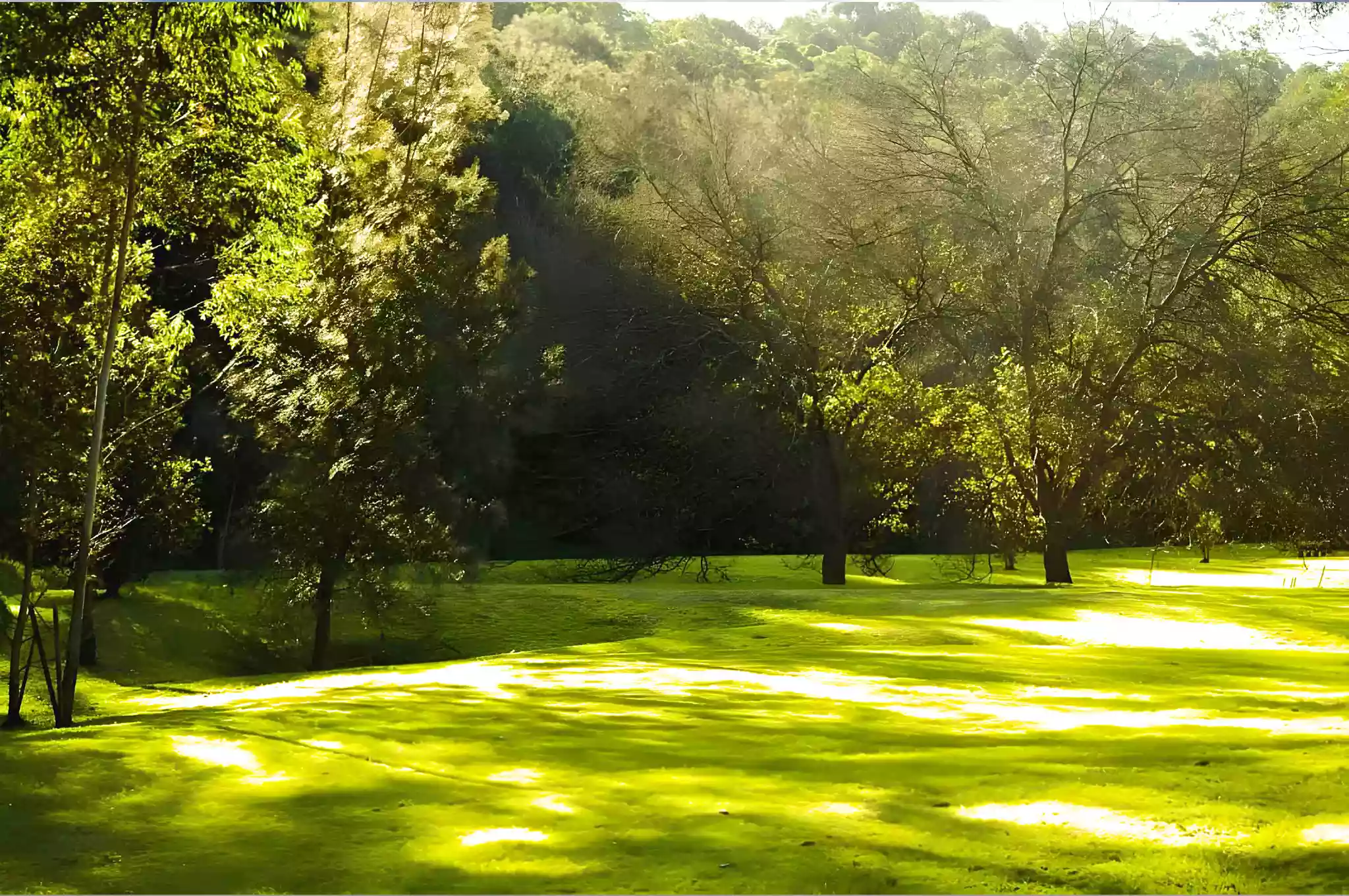 Landscaping and Lawn Care